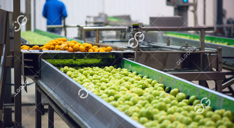 What Is The Best Solution for Washing Vegetables?