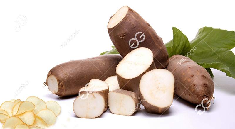 How to Process Cassava into Chips?