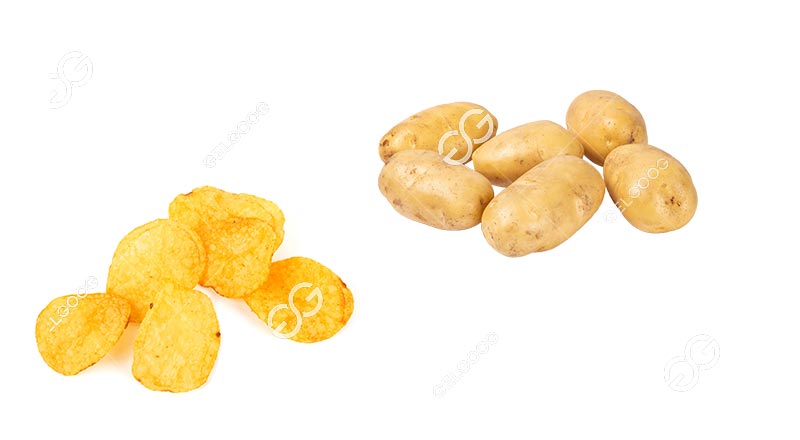 Potato Variety for Chips Making